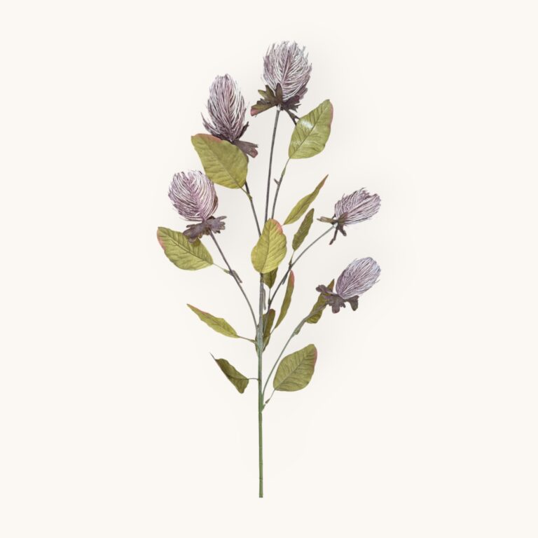 Banksja -sztucz.rośl.