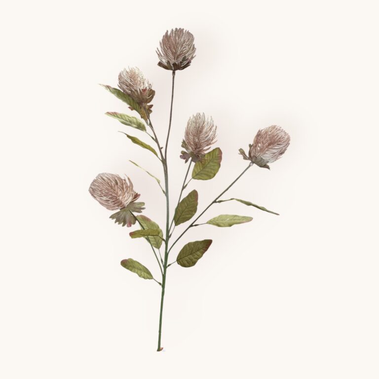 Banksja -sztucz.rośl.