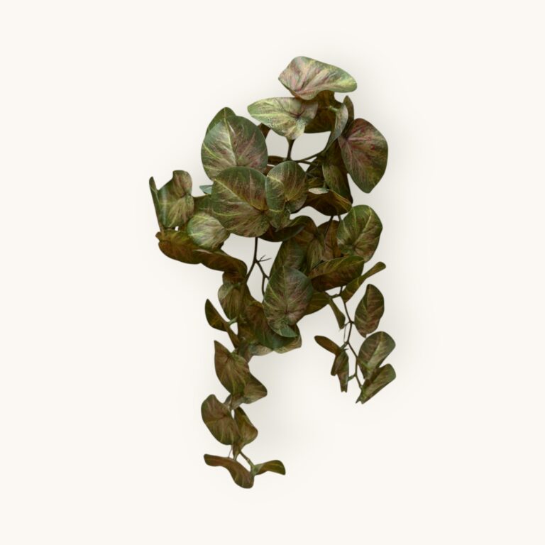 Żurawka -sztucz.rośl.