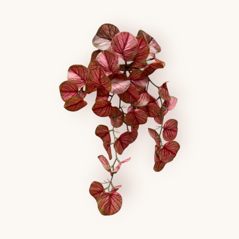 Żurawka -sztucz.rośl.