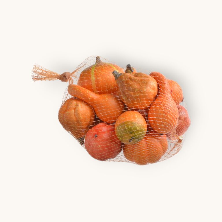 Dynie mix 12szt/pacz -sztucz.rośl.