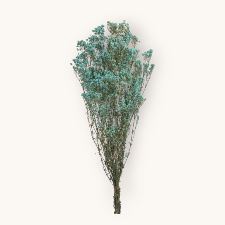 Gipsówka 120g – suszony kwiat LT.BLUE