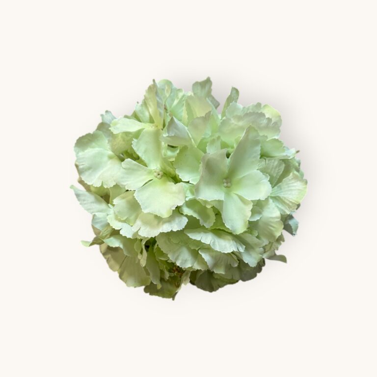 HORTENSJA GŁÓWKA-SZTUCZ.ROŚL.