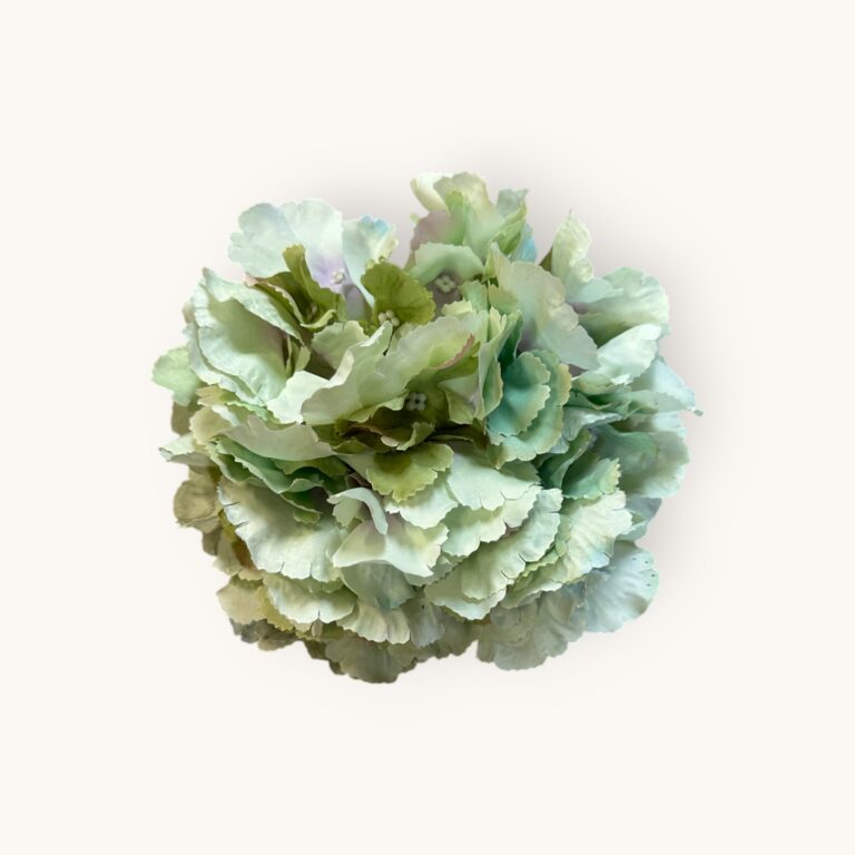 HORTENSJA GŁÓWKA-SZTUCZ.ROŚL.