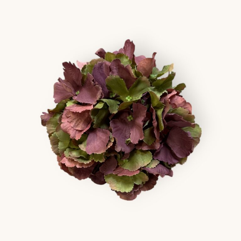 HORTENSJA GŁÓWKA-SZTUCZ.ROŚL.