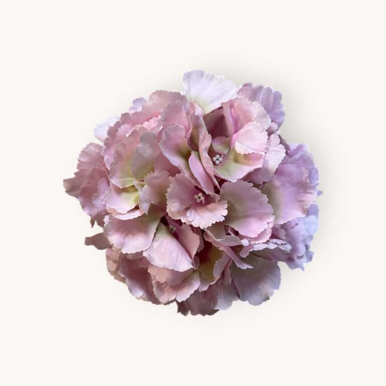 HORTENSJA GŁÓWKA-SZTUCZ.ROŚL.