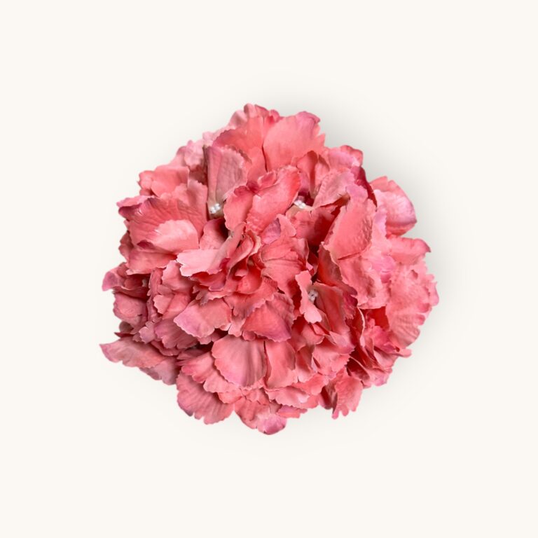 HORTENSJA GŁÓWKA-SZTUCZ.ROŚL.