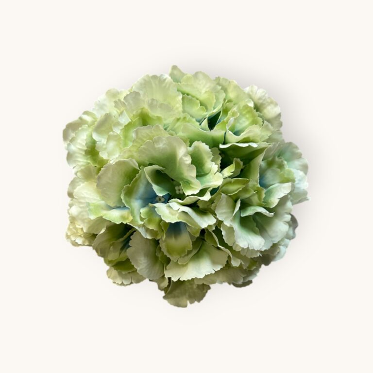 HORTENSJA GŁÓWKA-SZTUCZ.ROŚL.