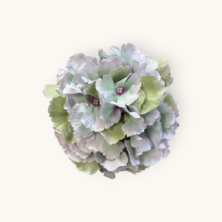 HORTENSJA GŁÓWKA-SZTUCZ.ROŚL.