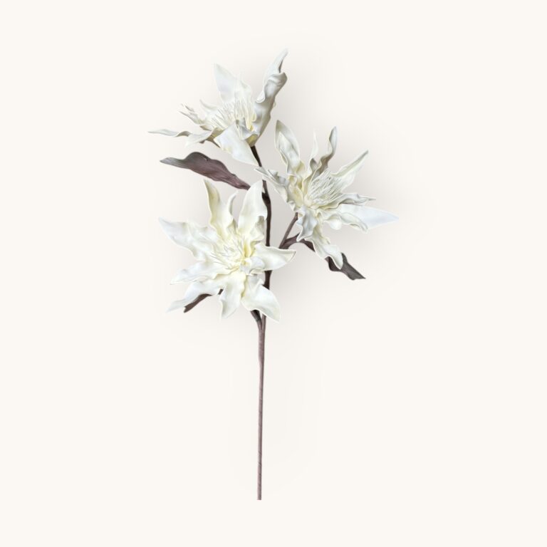 Kwiat egzotyczny pianka