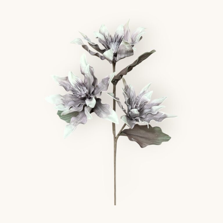 Kwiat egzotyczny pianka