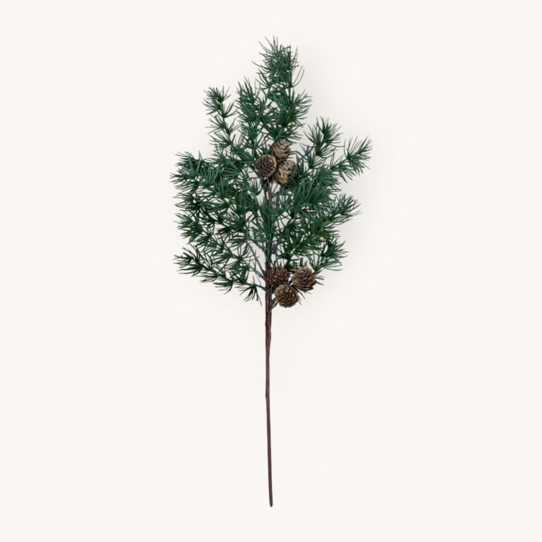 MODRZEW Z SZYSZKAMI 5243