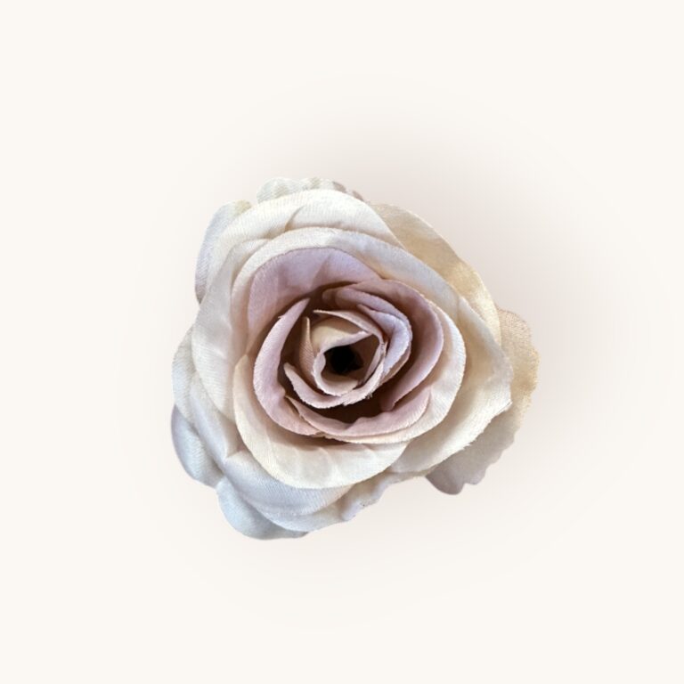 Róża mercedeska w.