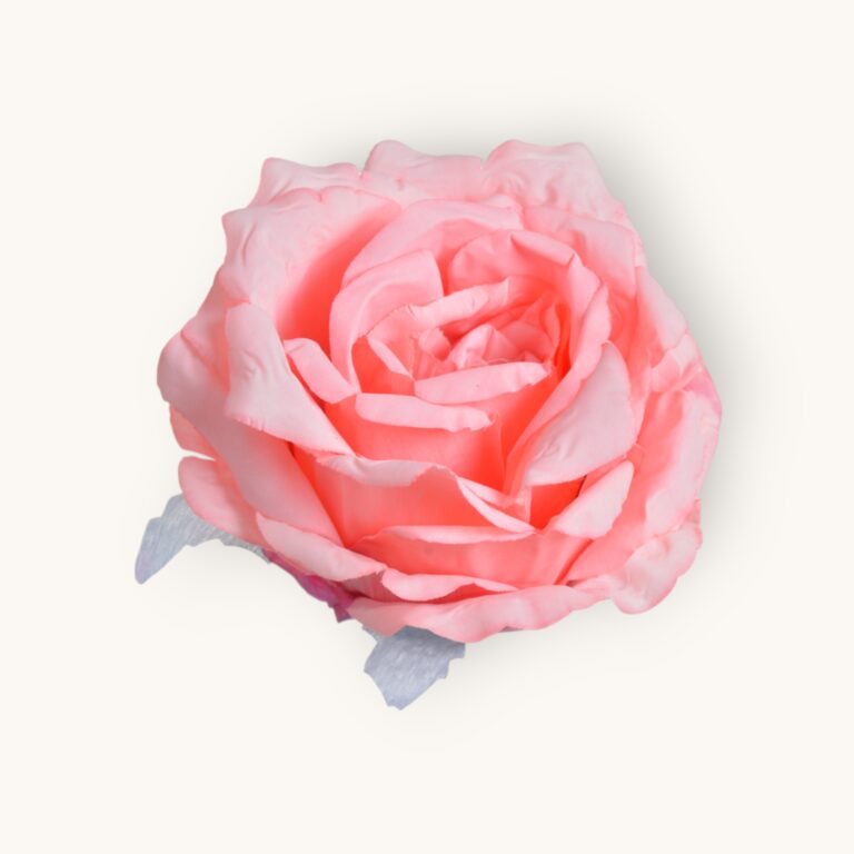 Główka róży 6 szt/pacz.