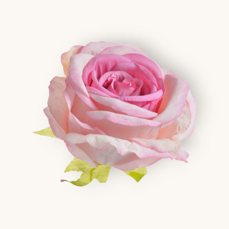 Główka róży 6szt/pacz.