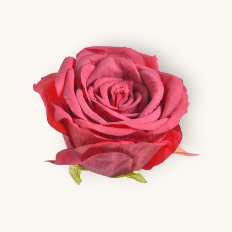 Główka róży 6szt/pacz.