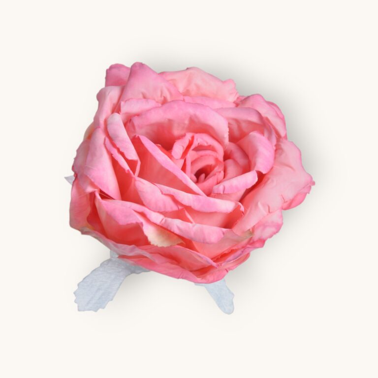 Główka róży 6szt/pacz.