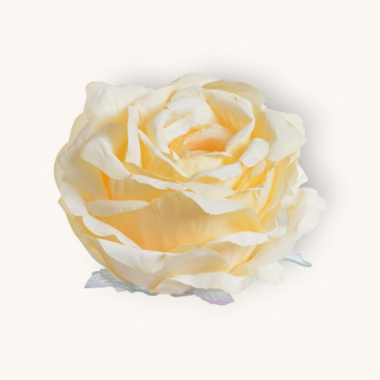 Główka róży 6szt/pacz.