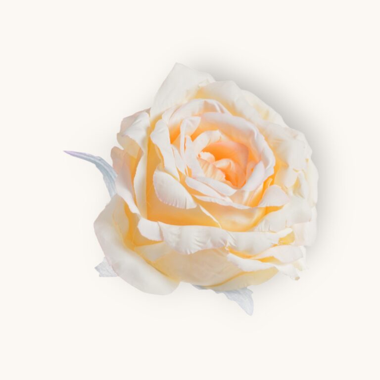 Główka róży 6szt/pacz.