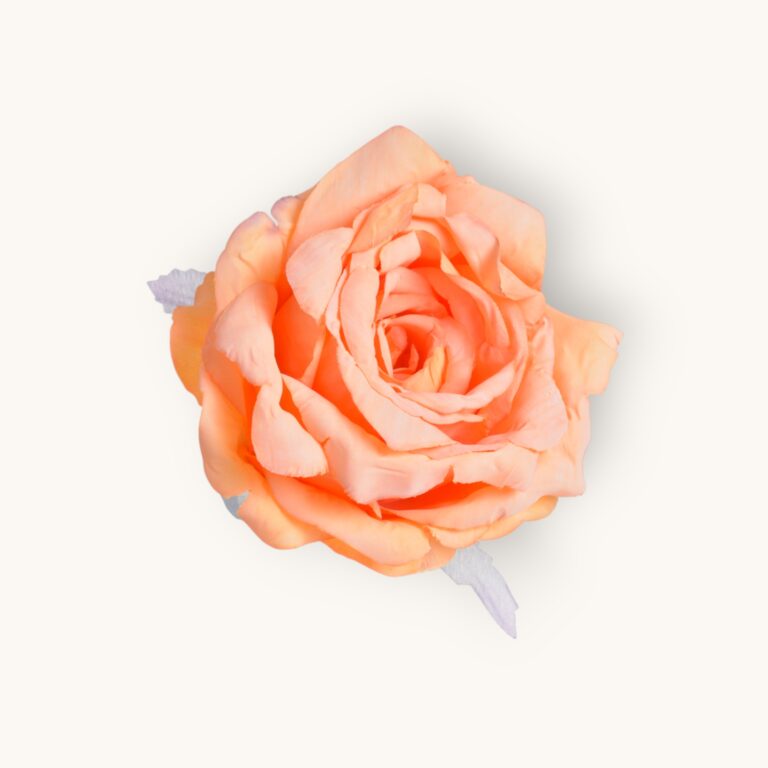 Główka róży 6szt/pacz.