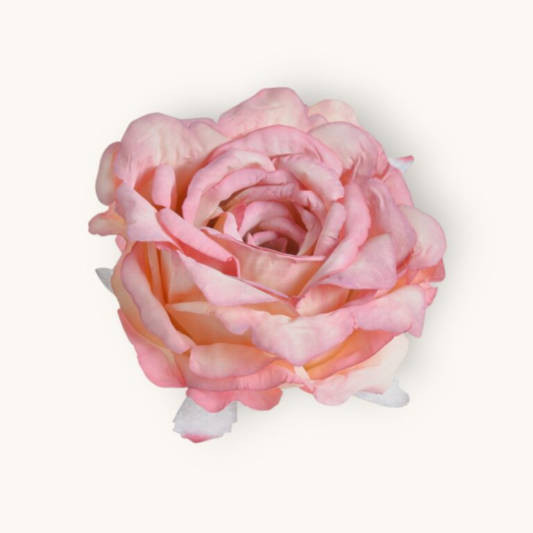 Główka róży 6szt/pacz.