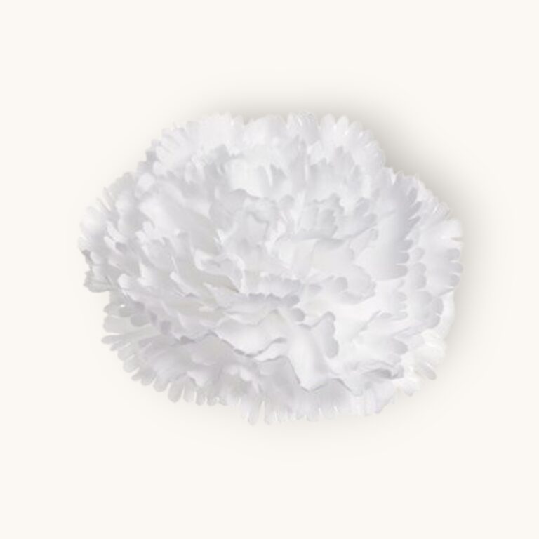 Goździk główka 12 szt/pacz.