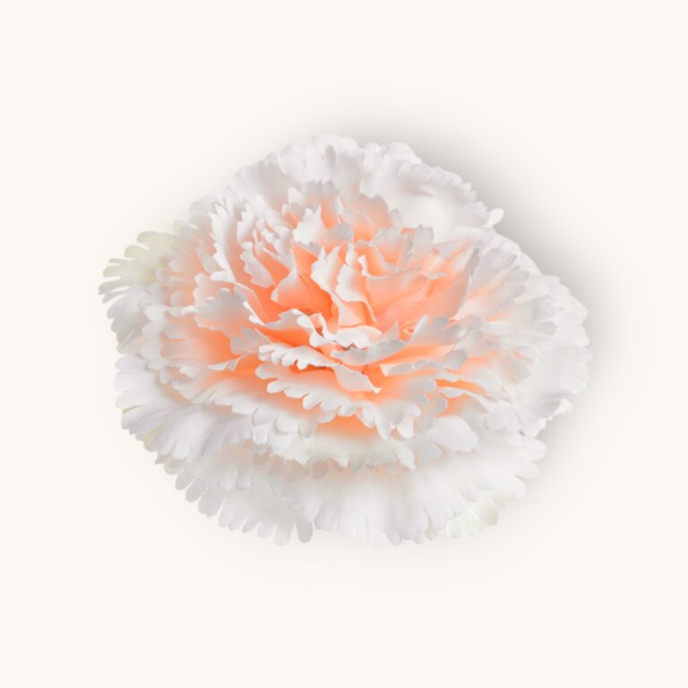 Goździk główka 12 szt/pacz.