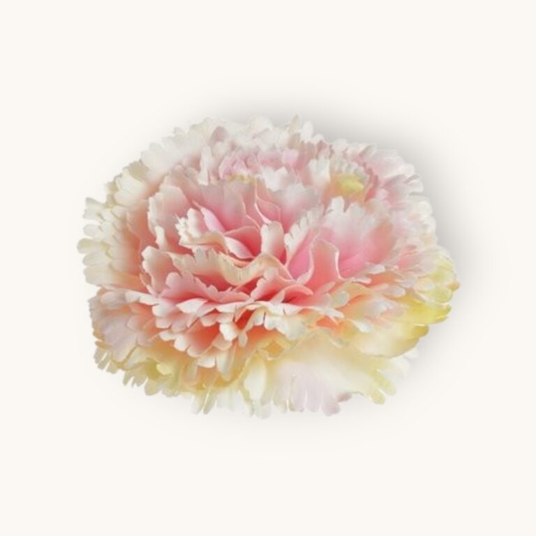 Goździk główka 12 szt/pacz.