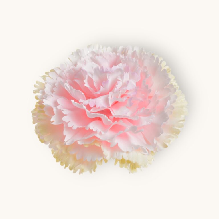 Goździk główka 12 szt/pacz.