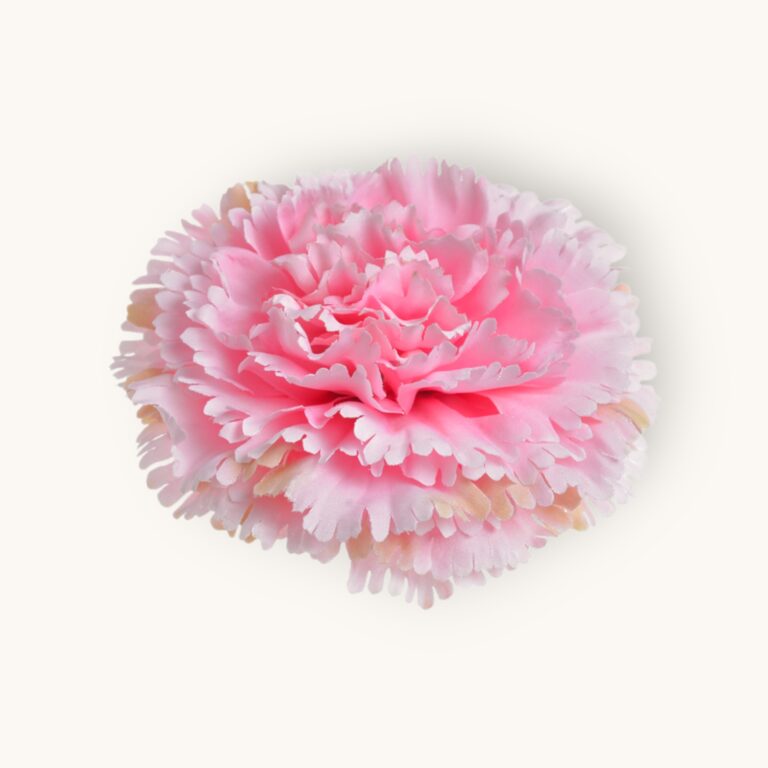 Goździk główka 12 szt/pacz.