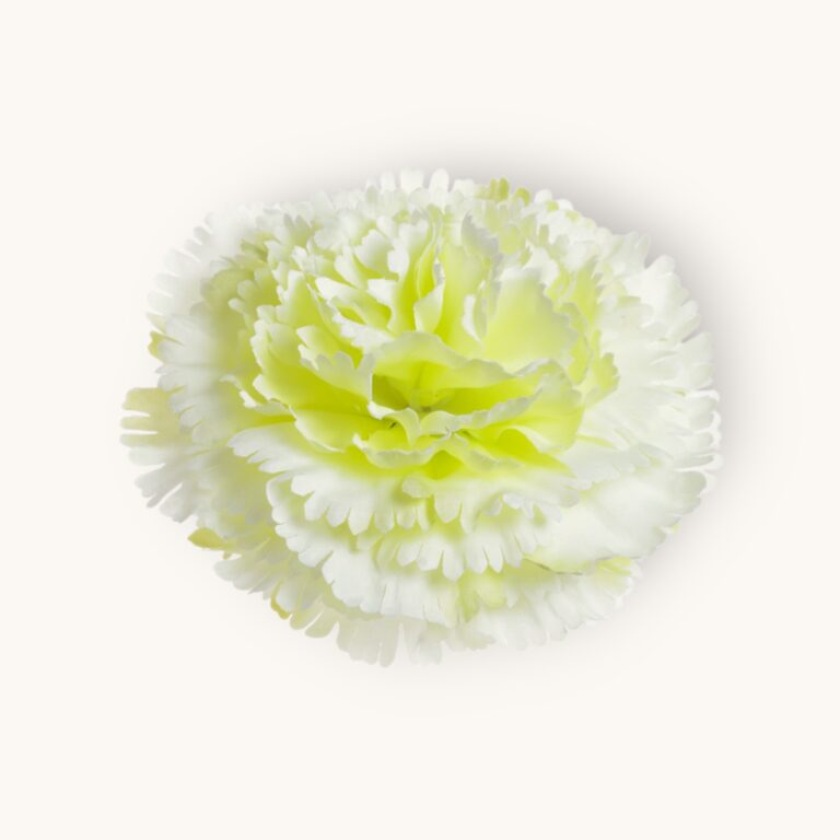 Goździk główka 12 szt/pacz.