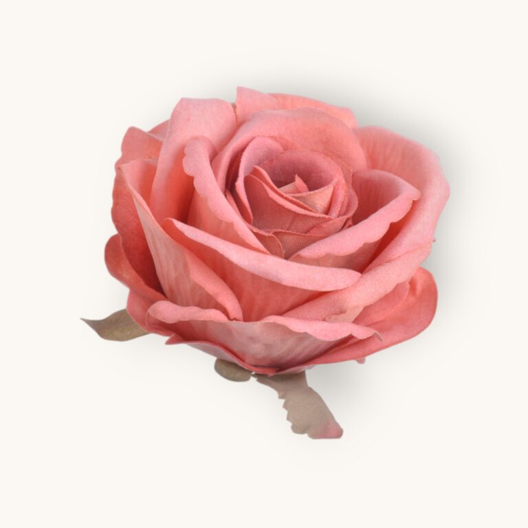 Róża welwetowa główka 6 szt/pacz