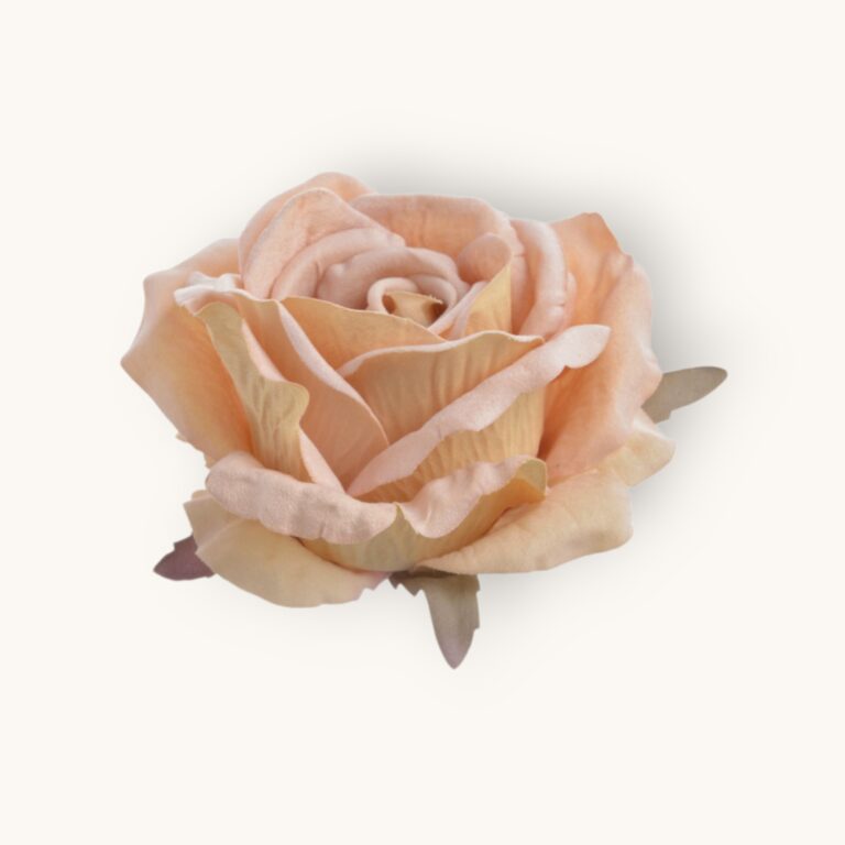 Róża welwetowa główka 6 szt/pacz