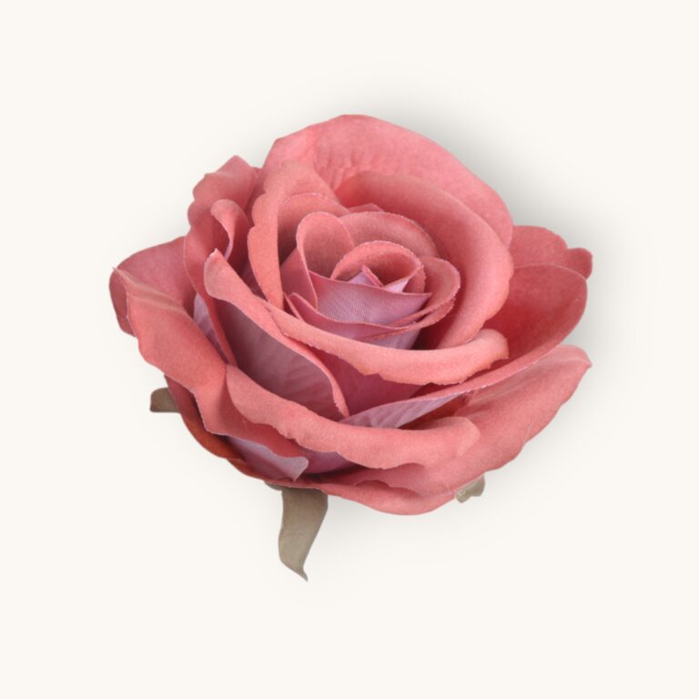 Róża welwetowa główka 6 szt/pacz