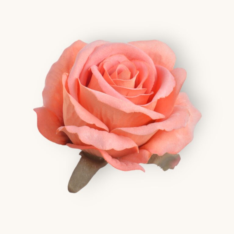 Róża welwetowa główka 6 szt/pacz