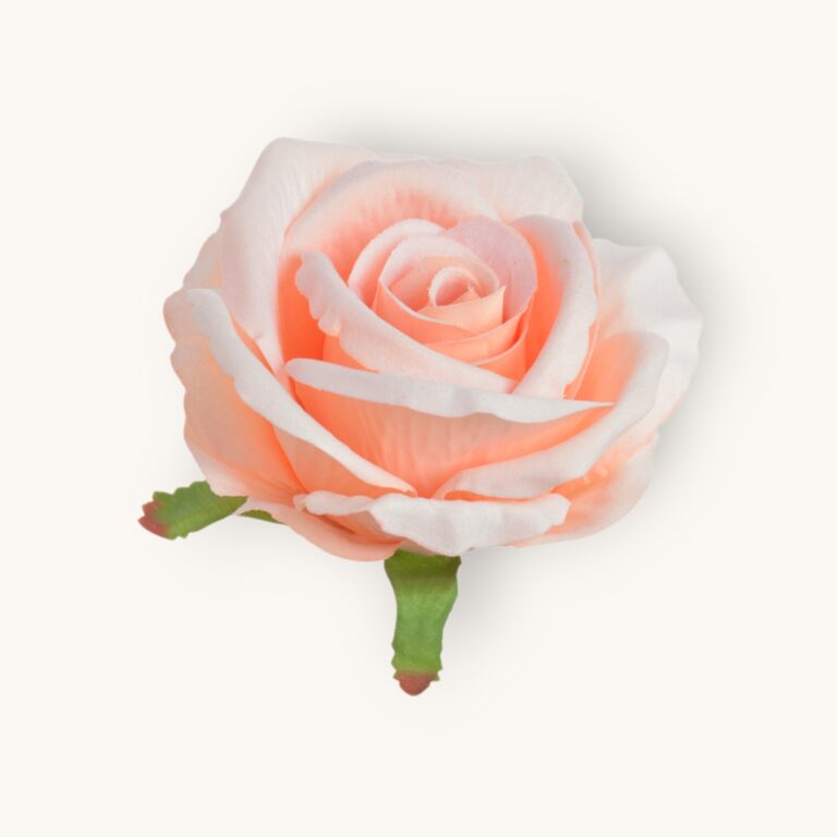 Róża welwetowa główka 6 szt/pacz