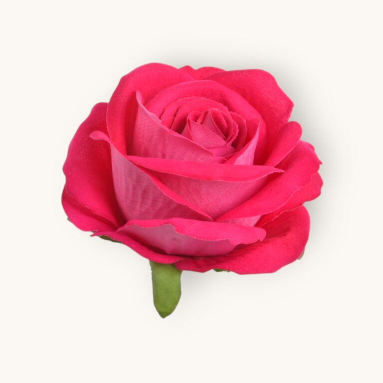 Róża welwetowa główka 6 szt/pacz